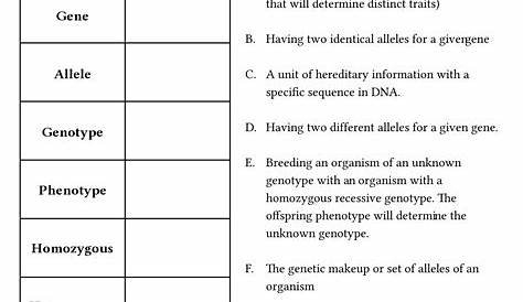 genetics and inheritance worksheet