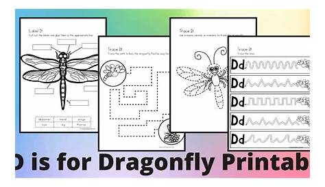 dragonfly worksheet for 2nd grade
