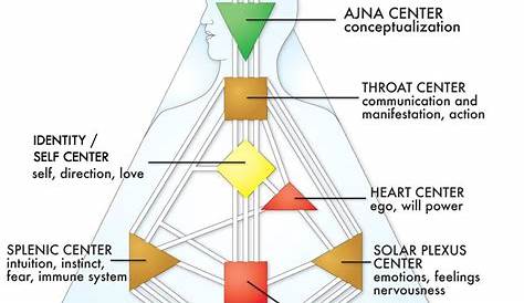 Colored Human Design Chart | Personality | Pinterest