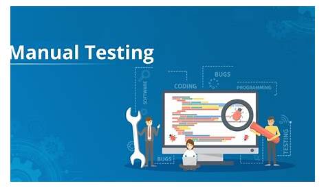 manual and automation testing training