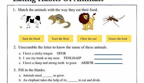 Pin on Science worksheets for grade 3