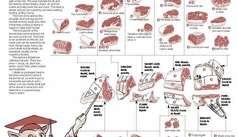 Meat Cutting Notebook Size Charts