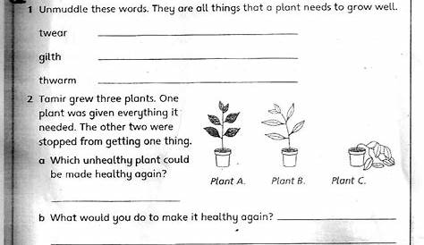 science worksheets for grade 3