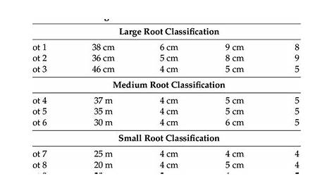 Dimensions of all roots utilized in the study. Measurements were