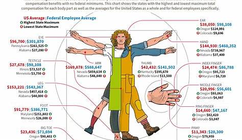 How much your body parts are worth in every U.S. state (according to workers' compensation). : r