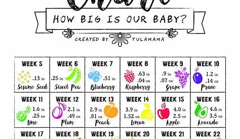 fruit size chart for pregnancy