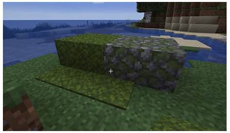 How to get Moss Blocks in Minecraft - Gamepur