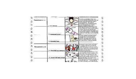 symbiotic relationships worksheet pdf