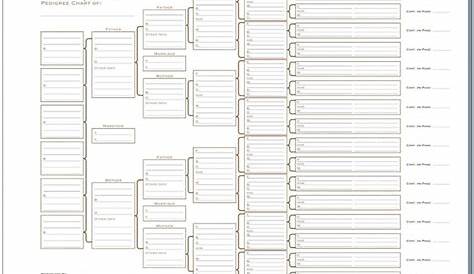 Family Tree Chart | Family tree chart, Family tree template excel