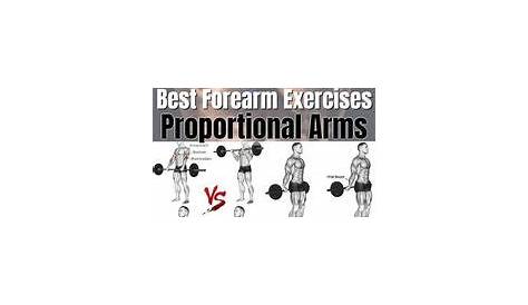 15 Best Best forearm exercises images in 2020 | Weight training