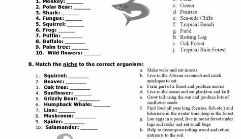 habitat and niche worksheets answers