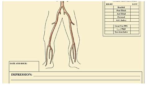 lower extremity arterial doppler worksheet