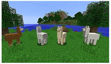 What Do Llamas Eat In Minecraft To Tame And Breed?