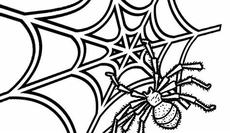 spider web printable