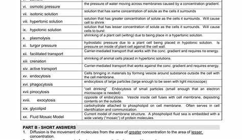 membrane and transport worksheet answer key