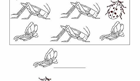 insects kindergarten worksheets