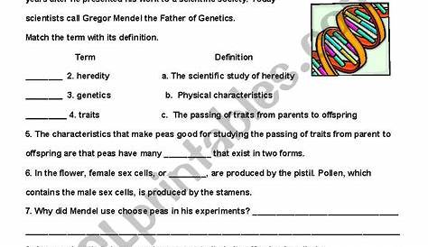 worksheets on genetics and heredity