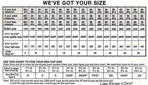 Lane Bryant Size Chart | plus sizes and talls they are a great place