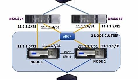 Configuration of cluster ECMP by using Cisco Nexus 7000 switch with