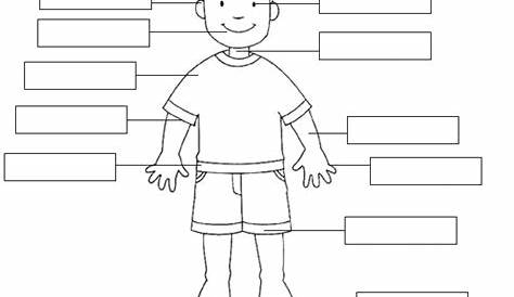 Human Body Parts Worksheet | Name the Body Parts