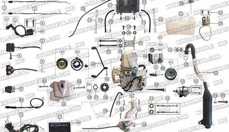 Lifan 200Cc Engine Diagram - Lifan 200cc Engine Diagram - Wiring