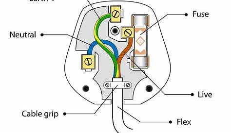wiring diagram for plug