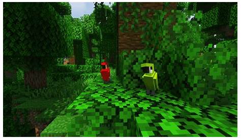 how to tame a parrot in minecraft