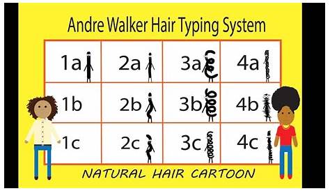 What is Hair Typing? | All About Hair Typing with Andre Walker's Hair