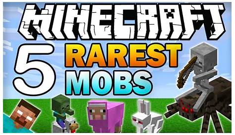what's the rarest item in minecraft