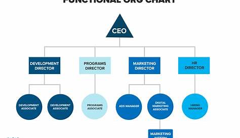 Nonprofit Org Chart: How to Set Up a Simple Organization Chart for Your