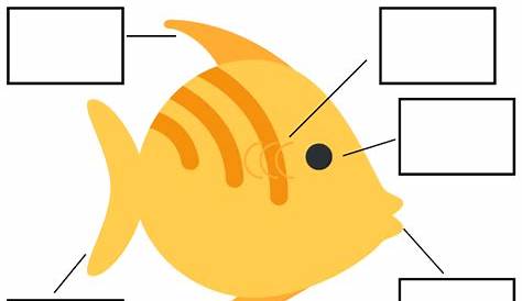 Kindergarten Fish Worksheet - Maths Worksheets