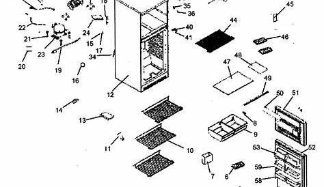 Haier Refrigerator Parts Diagram - Hanenhuusholli