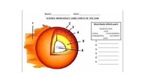 parts of the sun worksheets