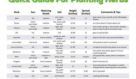 herb chart with pictures