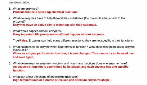Restriction Enzymes Worksheet Answers - Ivuyteq