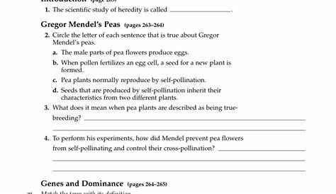 genetic science ethics worksheet answers