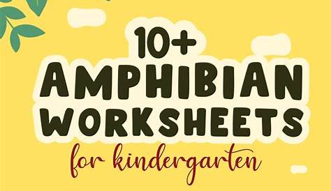 9 Amphibian Worksheets For Kindergarten / worksheeto.com