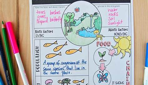 an ecosytem review worksheet with pencils and markers
