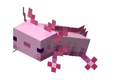 Minecraft: Axolotls - Apex Hosting