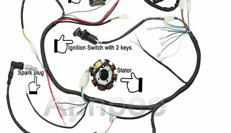 Amazon.com: JIKAN Complete Wiring Harness kit Wire Loom Electrics