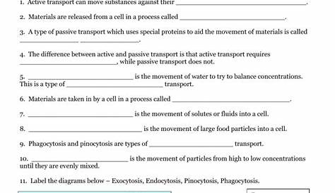 Passive and Active Transport Name