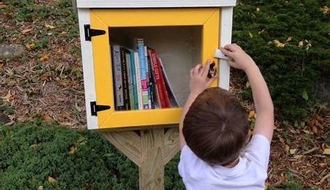 little free library pics