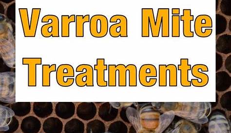 organic varroa mite treatment options