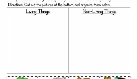 live worksheet living and non living things
