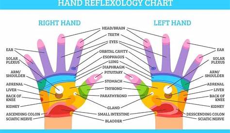 hand reflexology chart printable
