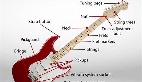 part diagram electric guitar