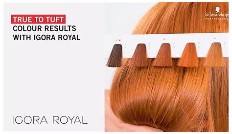 True to tuft colour results with IGORA ROYAL - YouTube