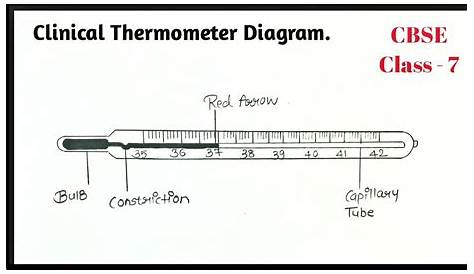 labeled diagram of thermometer