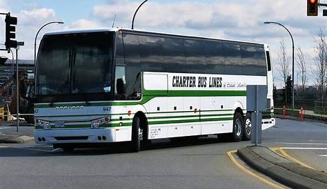 what does charter bus mean