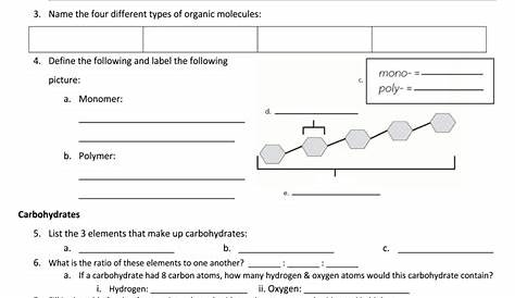 Organic Molecules Review Worksheet - Fill Online, Printable, Fillable